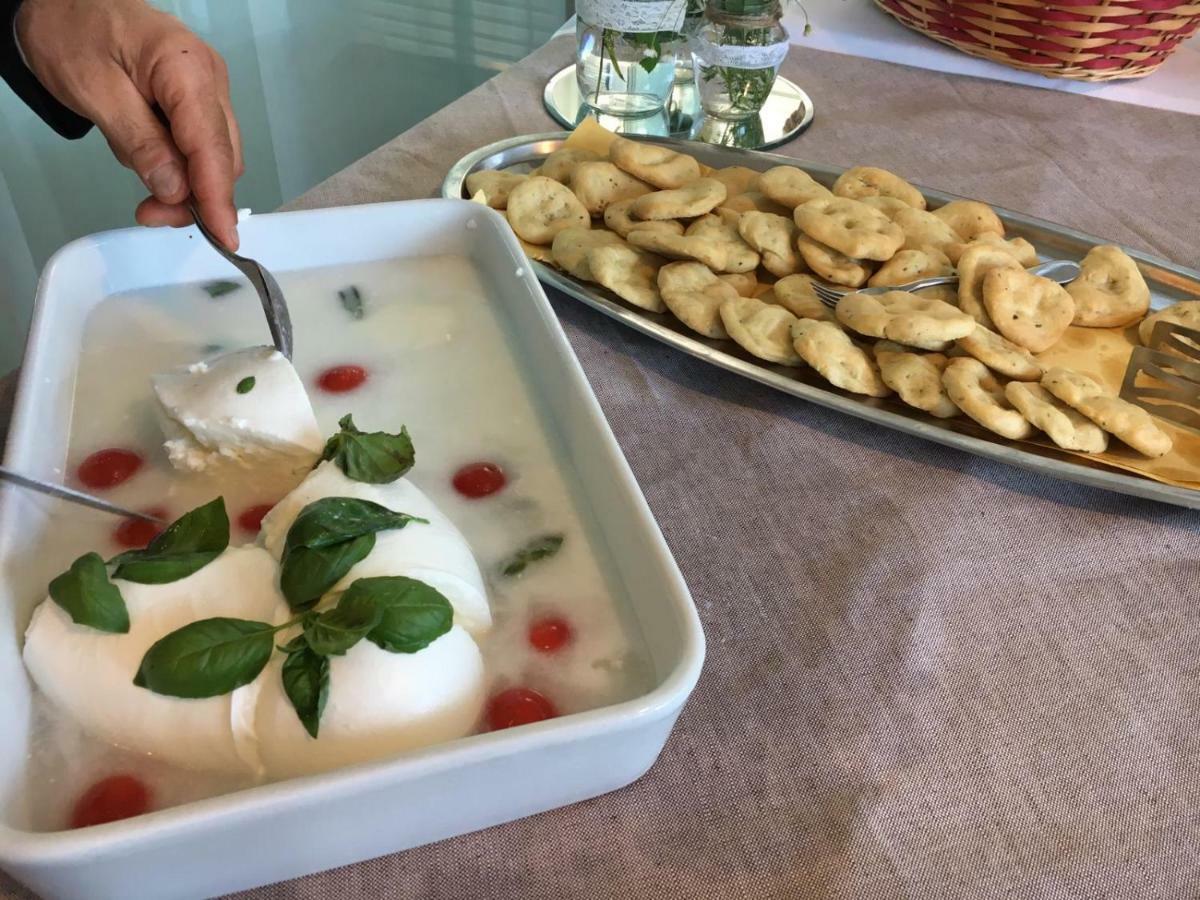 Hotel Joseph Marina di Pietrasanta Dış mekan fotoğraf